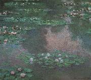 Claude Monet Waterlilies China oil painting reproduction